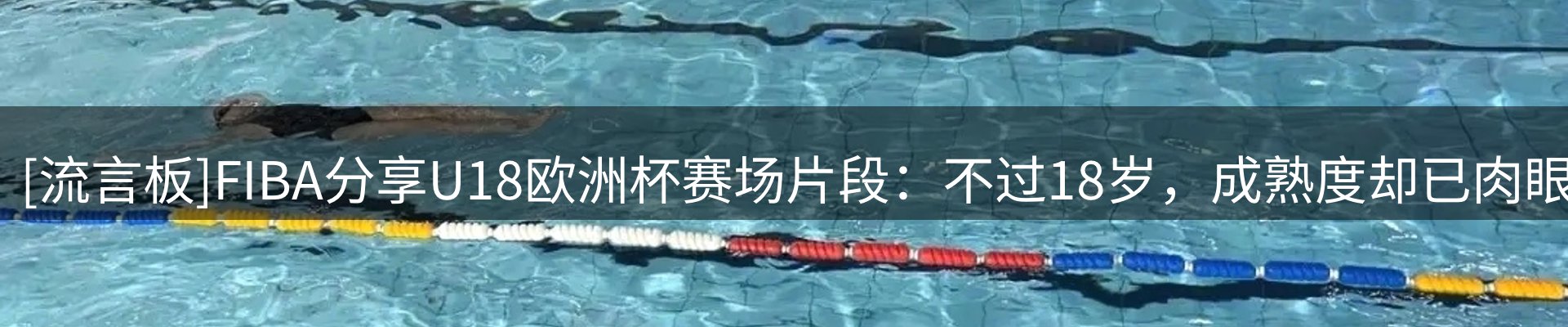 新闻资讯